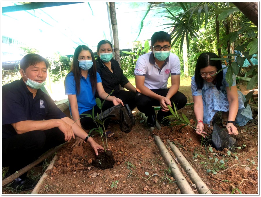 ﻿สํานักงานบังคับคดีจังหวัดเชียงใหม่ สาขาฝาง ร่วมกิจกรรมวันต้นไม้ประจำปีของชาติ พ.ศ. 2564